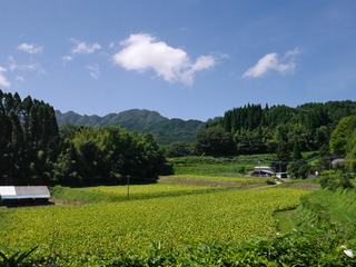 B-ai-0404.jpg