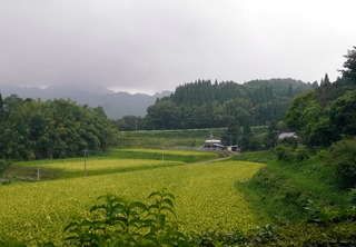 B-ai-0618.jpg