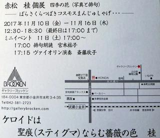 B-aka-0557.jpg