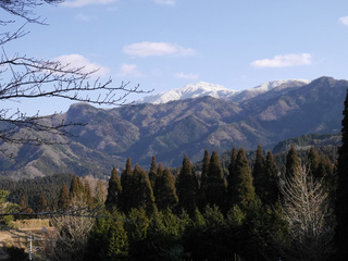 B-asa-30235.jpg