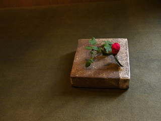 B-da-0321.jpg