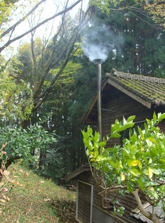 B-fuyuji-4959.jpg