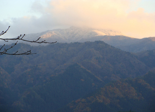 B-fuyuji-4965.jpg