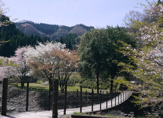 B-geya-0596.jpg