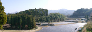 B-gin-80628.jpg