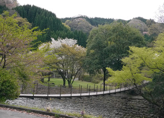B-hawa-0954.jpg