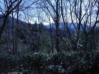 B-ito-0227.jpg