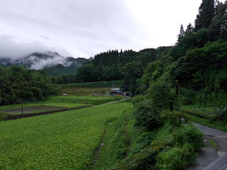 B-jya-60697.jpg