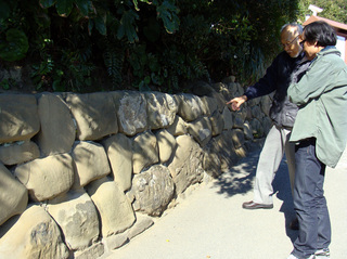 B-kago-7864.jpg