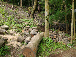 B-kami-40409.jpg