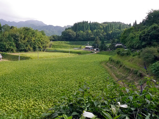 B-kata-0314.jpg