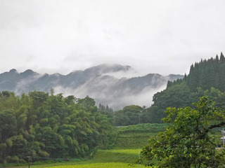 B-kata-0494.jpg
