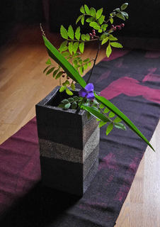 B-kita-20073-1.jpg