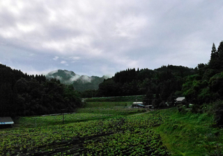 B-kita-20101-1.jpg