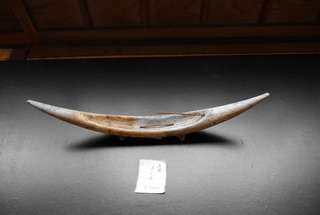 B-kyo70802.jpg