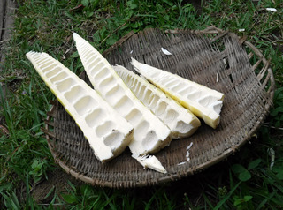 B-mata-0490-1.jpg