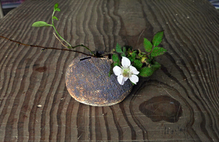 B-matu-10090-1.jpg