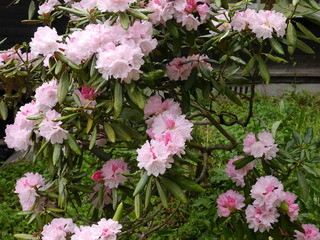 B-moku-0734.jpg