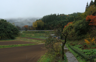 B-momiji-4919.jpg