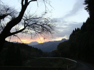 B-momiji-4924.jpg