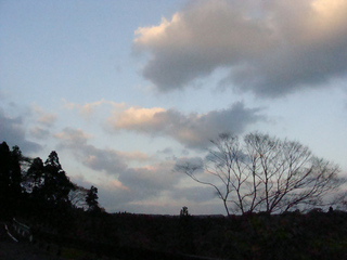 B-momiji-4931.jpg