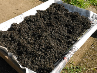 B-muka-0902.jpg