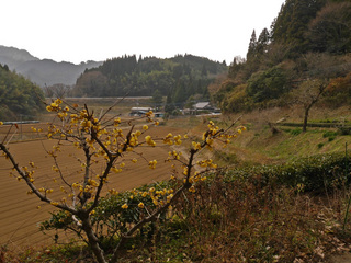 B-san-0175.jpg
