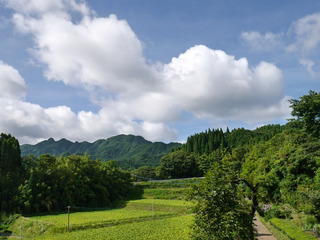 B-sho-0513.jpg
