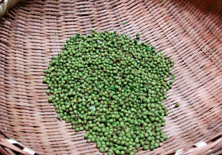 B-soup-6774.jpg
