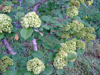 B-tennan-6275-1.jpg