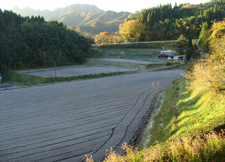 B-tikuraku-4977.jpg