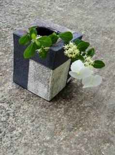 B-utu-3633.jpg