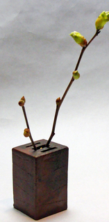 B-yuzuama-5561.jpg