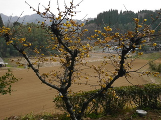 P1190984(1).JPG