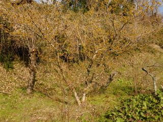 P1200013(1).JPG