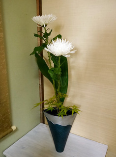 b-muka-0937.jpg